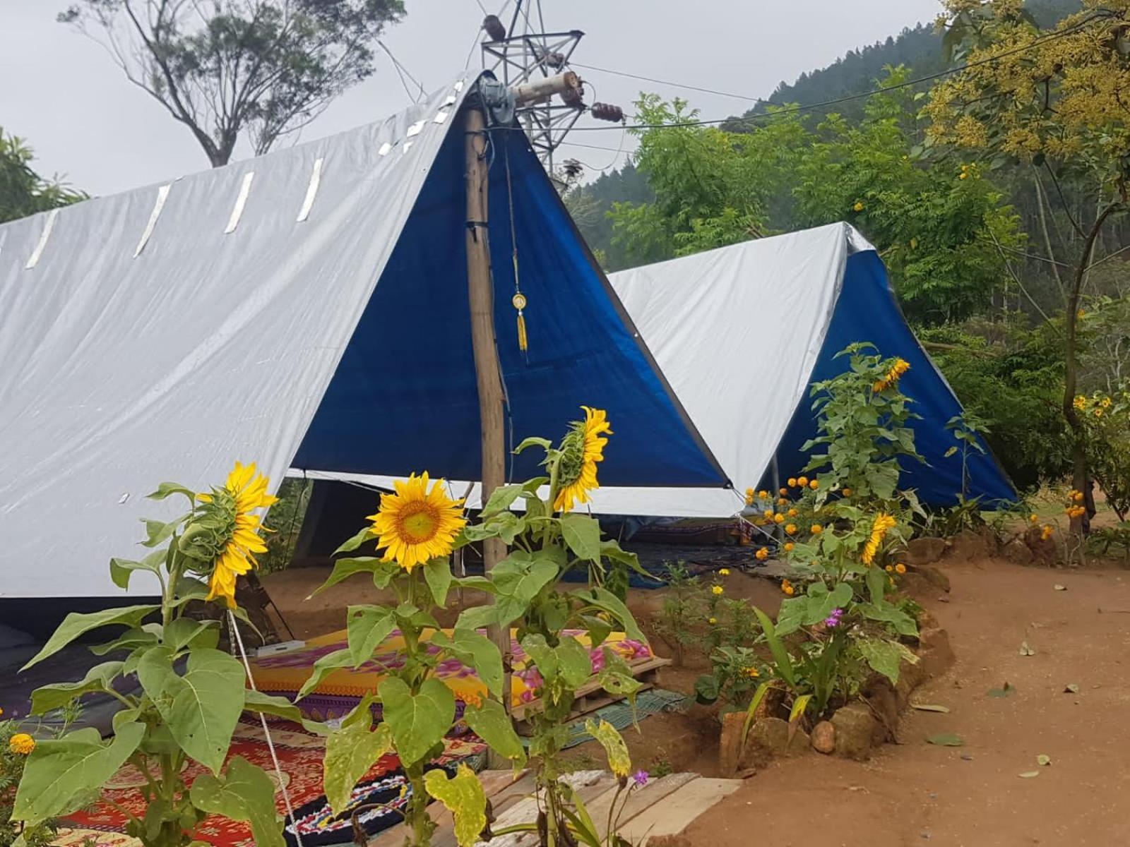 Freedom Camp Ella Hotel Bilik gambar